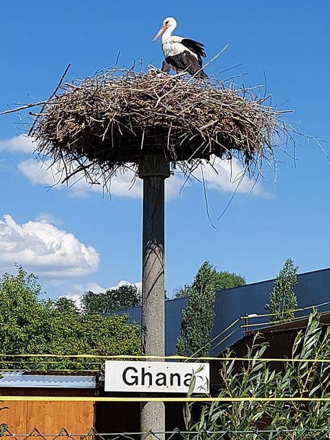 Foto: Hugo Imhof
