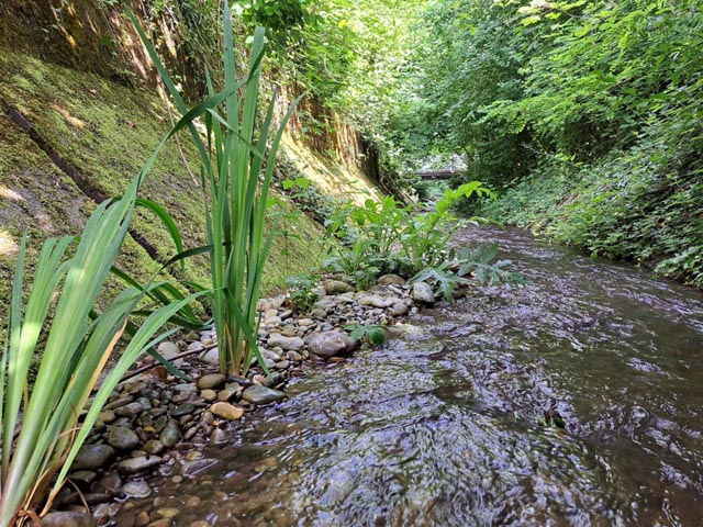 Foto: zVg
