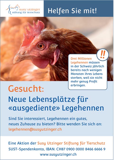Bild: zVg