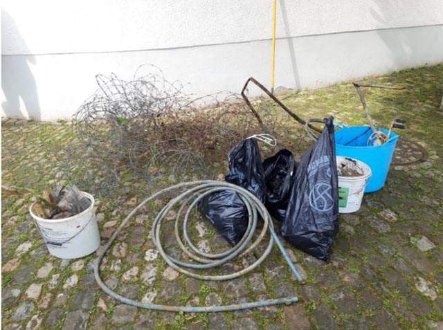 Foto: zVg