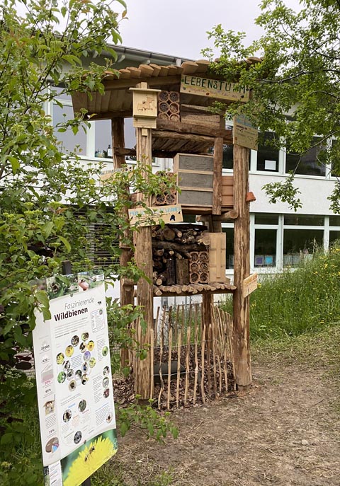 Foto: Sonja Fasler