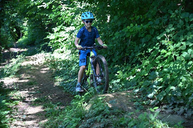 Bild 2