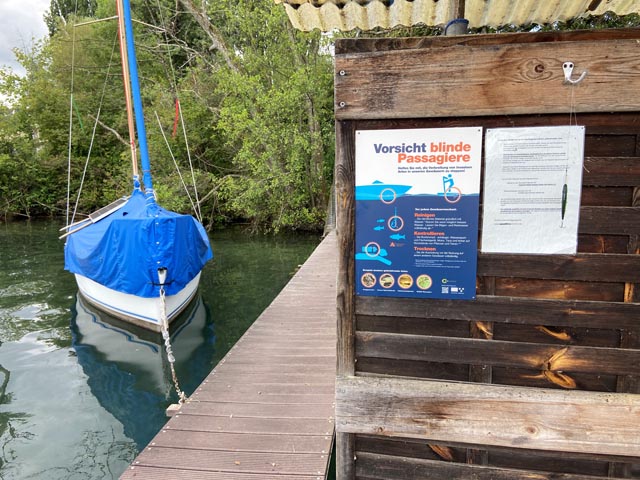 Plakat «Vorsicht blinde Passagiere» bei der Steggemeinschaft Hallwyl. Foto: © Ruedi Gautschi