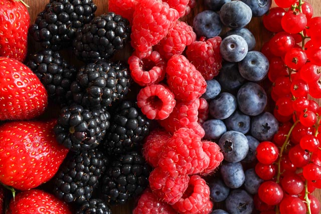 Beeren haben jetzt Hochsaison. Foto: LID