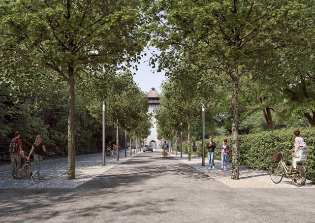 Rheinfelden: Hermann-Keller-Strasse wird saniert und mit Baumallee aufgewertet