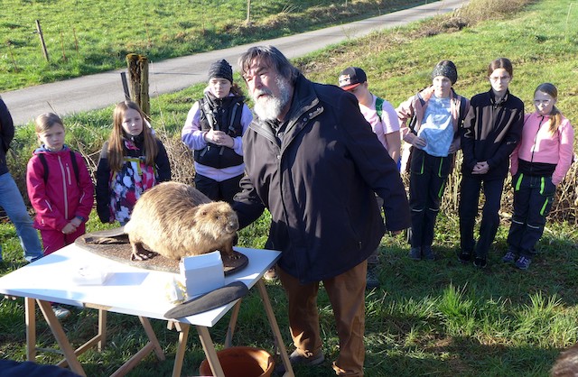 Bild 2