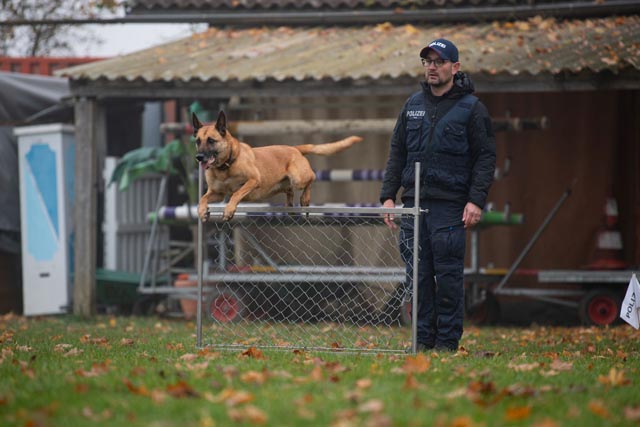 Peter Aebi mit «Ace» bei der Disziplin «Unterordnung». Foto: Polizei Basel-Landschaft/Basel-Stadt  