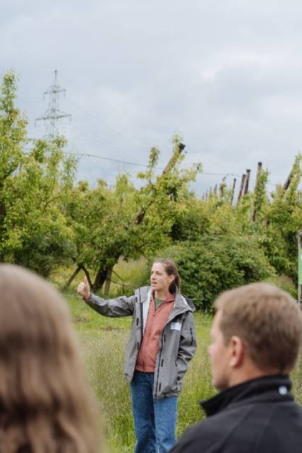 Mit der Gestaltung von Keylines will die Herznacher Landwirtin Petra Schmid (Bild) auf dem Hübstelhof bei Agrarflächen in Hanglage Erosionsschäden reduzieren, sich aktiv auf die Klimaveränderung vorbereiten und gleichzeitig die Biodiversität weiter fördern.