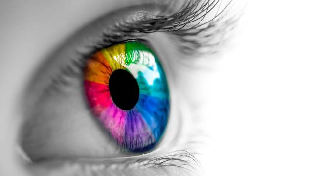 Wie unser Auge Farben erkennt: PSI-Forschende haben wichtige Details über die molekularen Mechanismen entschlüsselt, mit denen Proteine in der Netzhaut bei Tageslicht Farben unterscheiden und Bewegungen bei Tageslicht wahrnehmen. © Adobe Stock