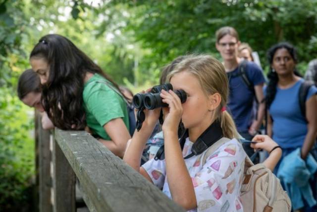 Staunen, beobachten und entdecken: Der «Familiensommer 2026» lädt Familien dazu ein, die Natur vor der Haustür neu kennenzulernen. Foto: © Naturama Aargau