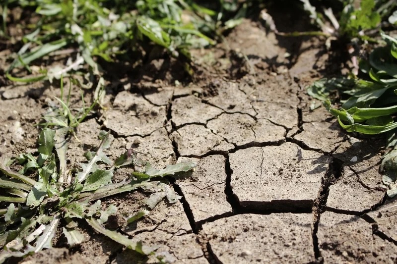 Foto: zVg