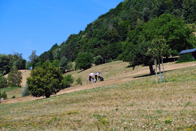 Golf bei der Hitze? Man muss sich nur zu helfen wissen (hier: Golf Fricktal). Foto: Bianca Kühweidner