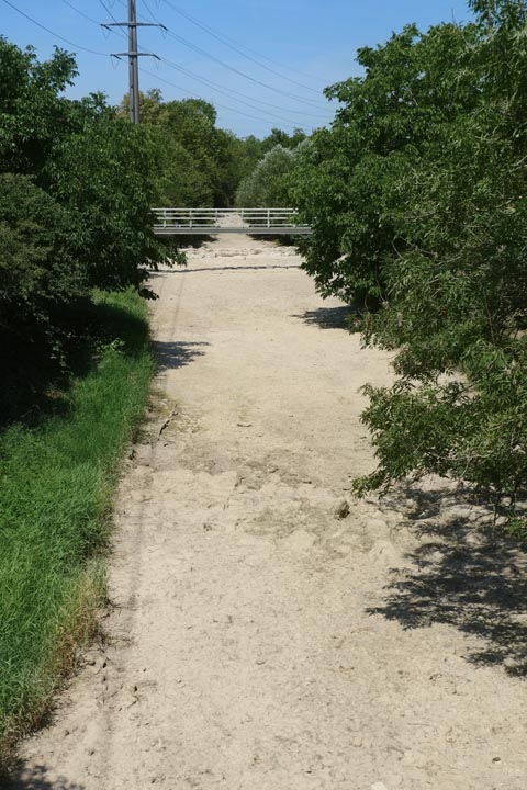 Die anhaltende Hitze in Kombination mit fehlendem Regen führt zu trockenliegenden Gewässern. Hier: das ausgetrocknete Flussbett der Sissle auf Höhe Sportplatz Eiken. Foto: Bianca Kühweidner, Frick