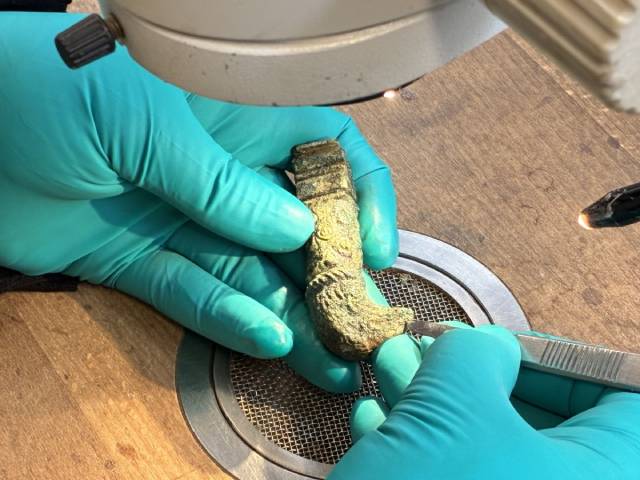 Der als Tierkopf ausgestaltete Griff eines möglichen Skalpells wird im Restaurierungslabor sorgfältig freigelegt. Foto: Kantonsarchäologie, © Kanton Aargau