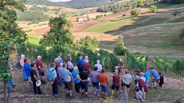 Zahlreiche Interessierte fanden sich zur Begehung der Weinberge ein.
