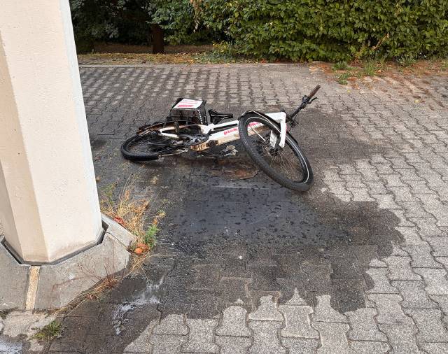 Foto: zVg